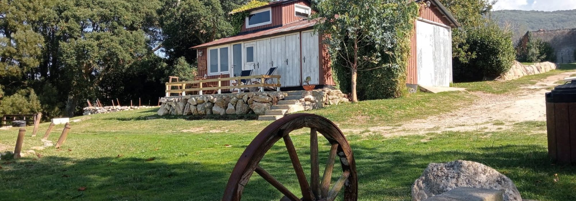 WhatsApp Image 2025-11-12 at 12.10.30